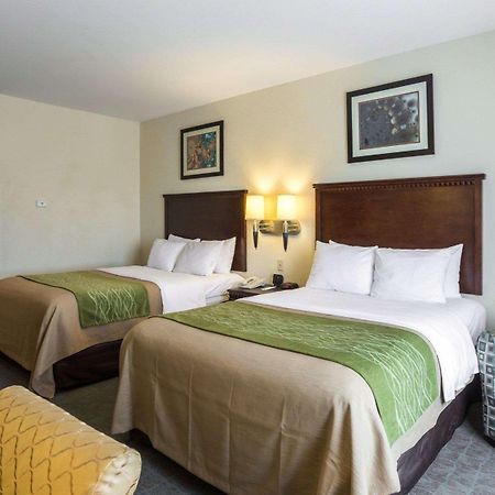 Quality Inn Donaldsonville - Gonzales エクステリア 写真