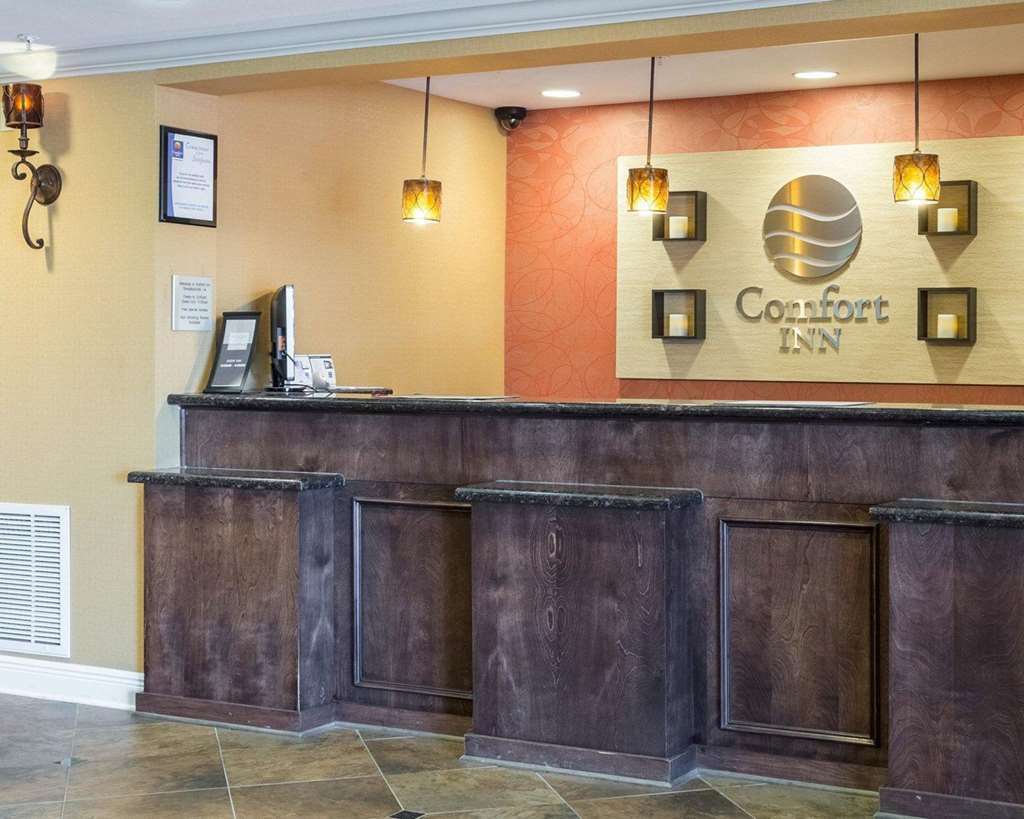 Quality Inn Donaldsonville - Gonzales インテリア 写真